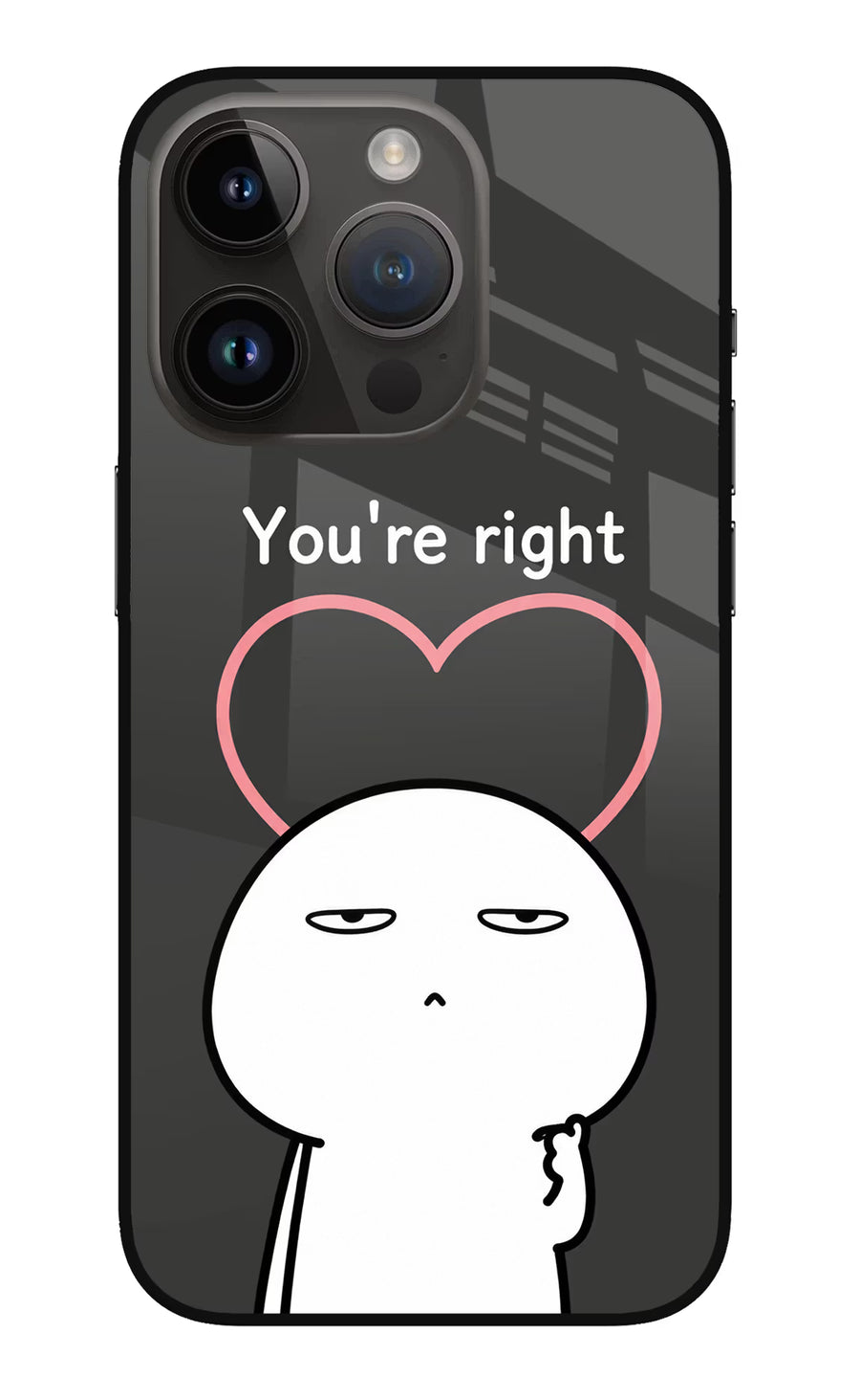 You're Right iPhone 14 Pro Back Cover, Metal case