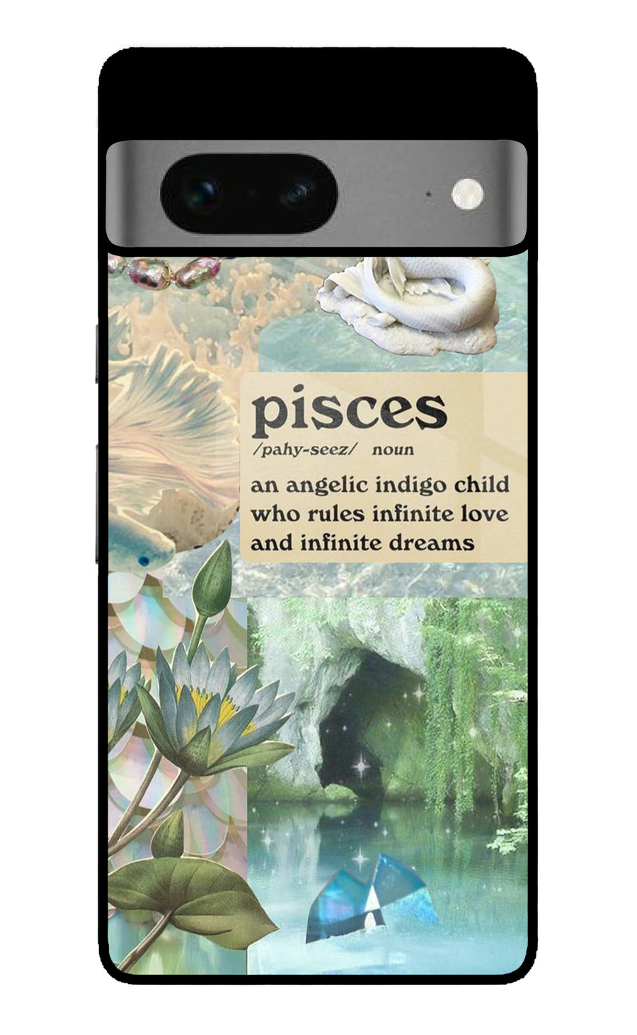 Pisces Zodiac Google Pixel 7 Back Cover, Metal case