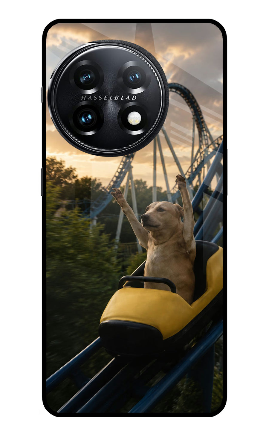 Rollercoaster Dog OnePlus 11 5G Back Cover, Metal case