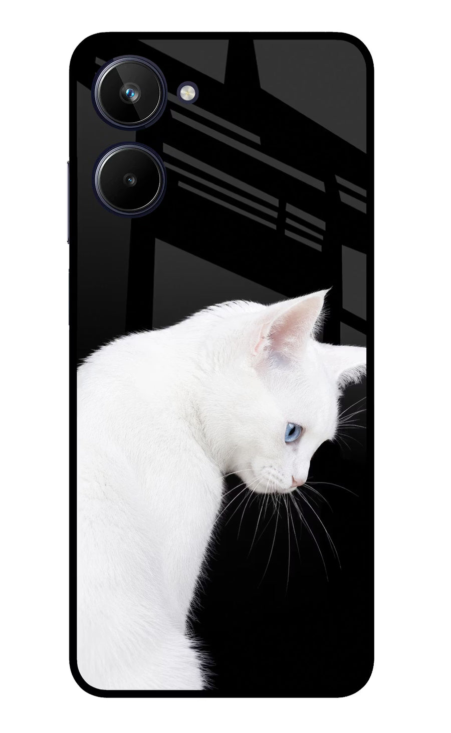 Snow Gaze Realme 10 Back Cover, Metal case