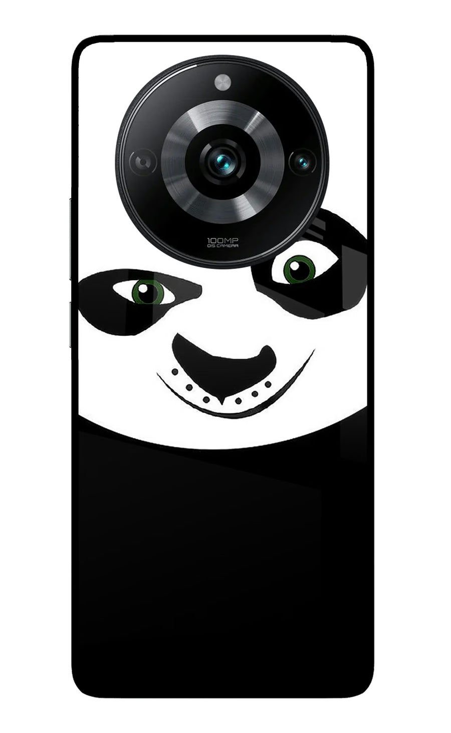 Panda Realme 11 Pro/Pro+ 5G Back Cover, Metal case