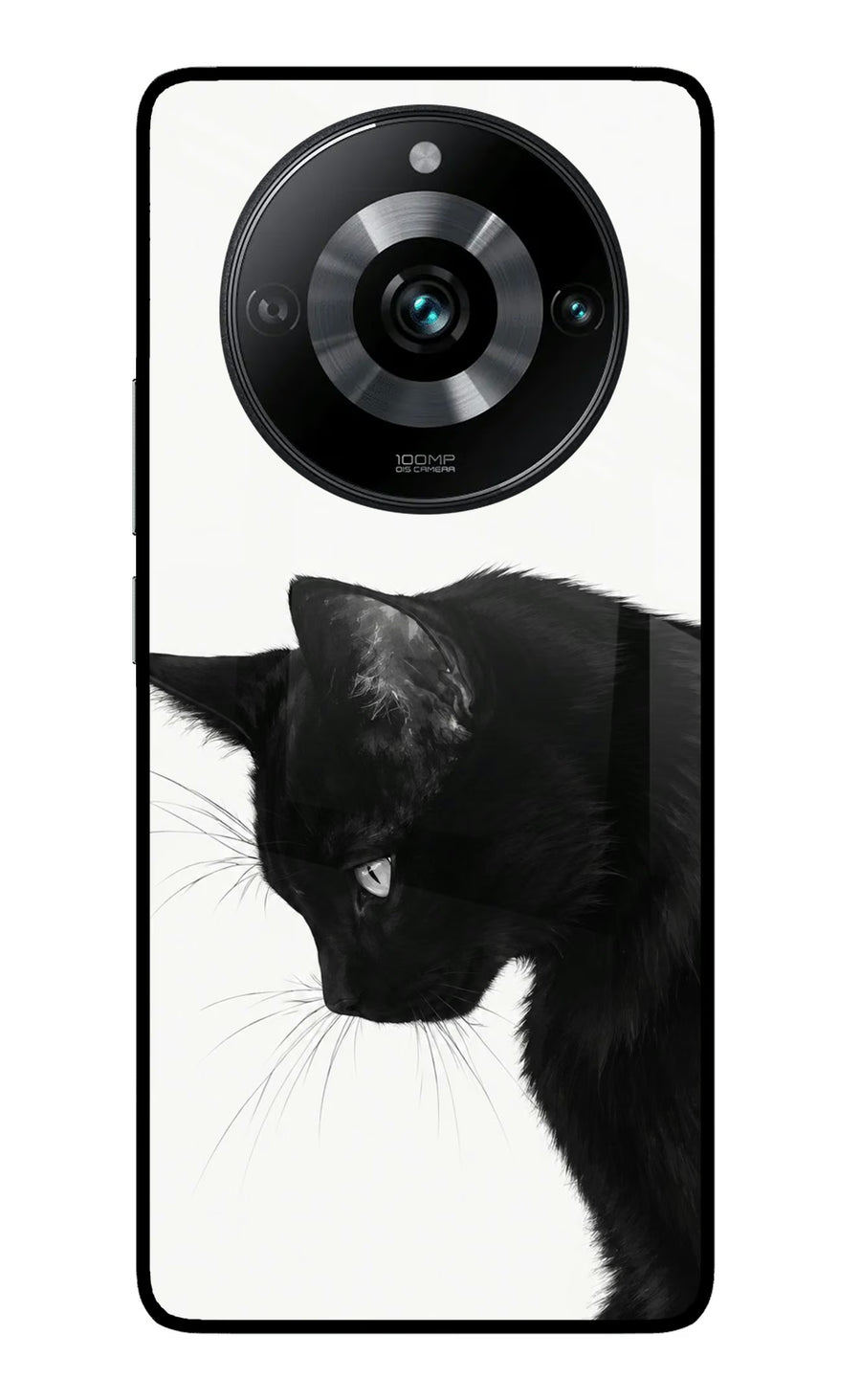 Shadow Gaze Realme 11 Pro/Pro+ 5G Back Cover, Metal case