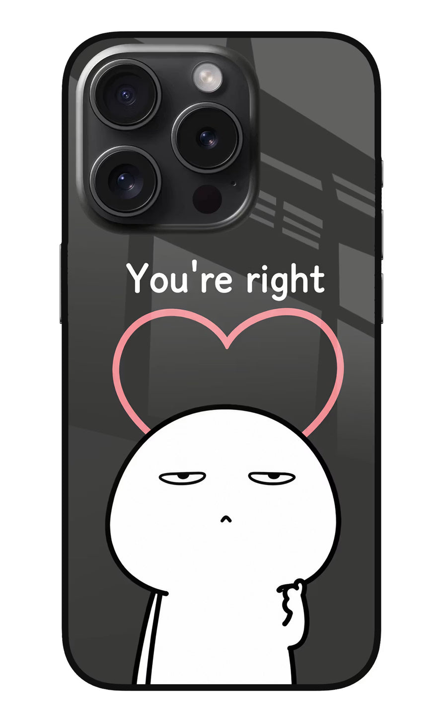 You're Right iPhone 15 Pro Back Cover, Metal case