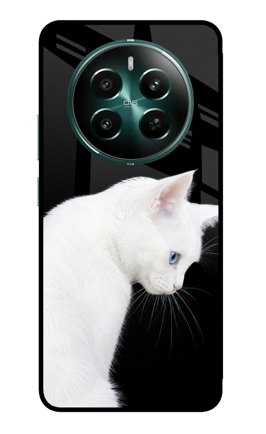 Snow Gaze Realme 12+ 5G Back Cover, Metal case
