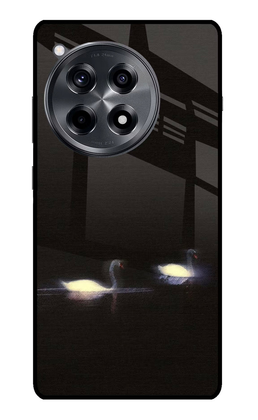 Silent Swans OnePlus 12R Back Cover, Metal case