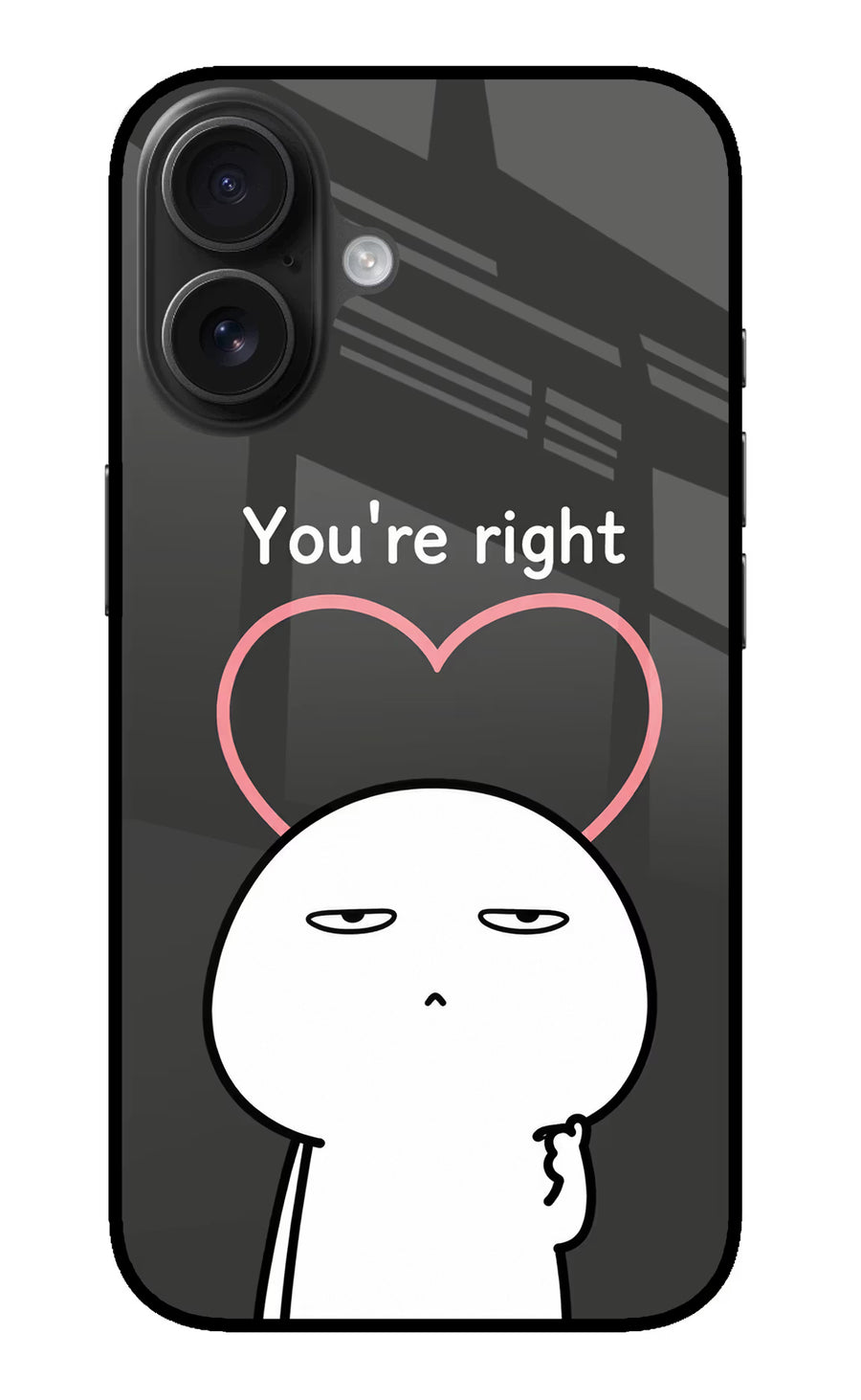 You're Right iPhone 16 Back Cover, Metal case