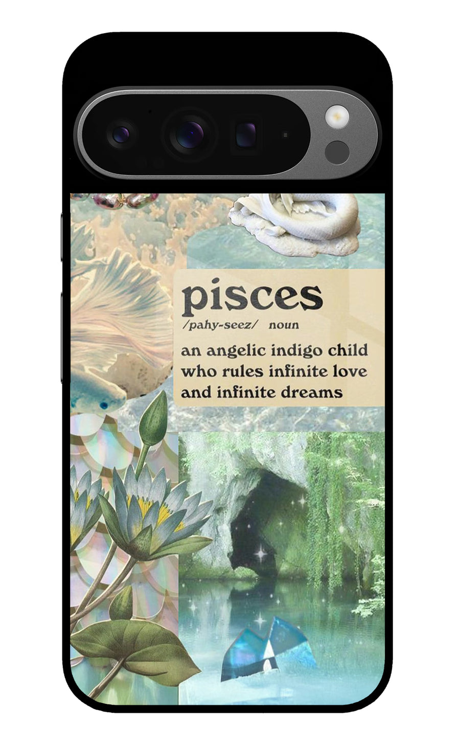 Pisces Zodiac Google Pixel 9 Pro Back Cover, Metal case