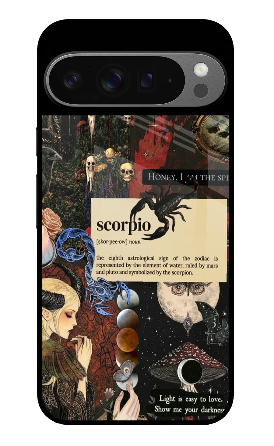 Scorpio Zodiac Google Pixel 9 Pro Back Cover, Metal case