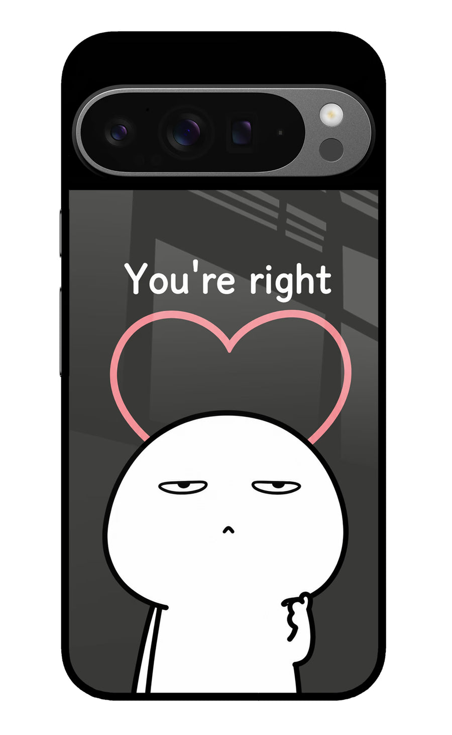 You're Right Google Pixel 9 Pro Back Cover, Metal case