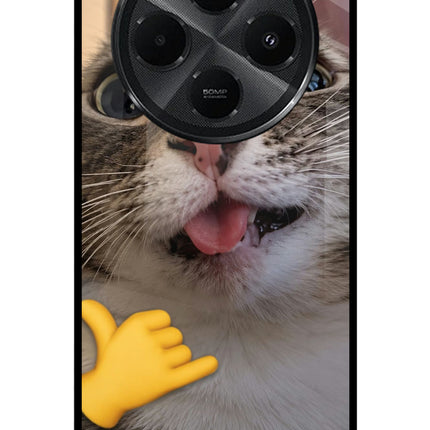 Silly Cat Call Redmi A4 5G Metal Case Back Cover by Casekaro