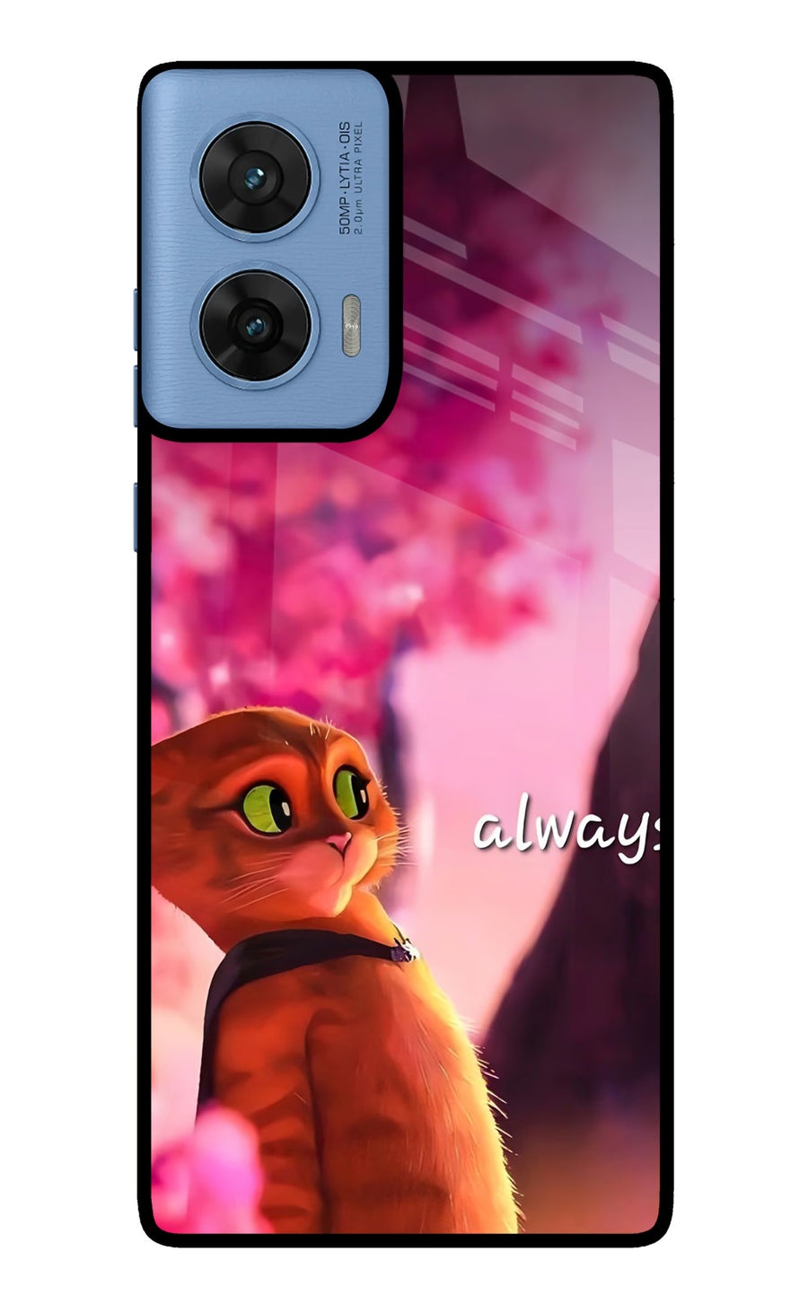 Always Cat Moto G96 5G Back Cover, Metal case