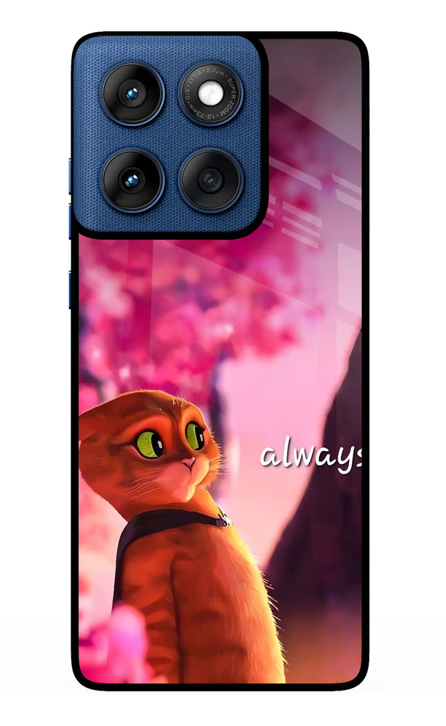 Always Cat Moto Edge 60 Metal Case Back Cover by Casekaro