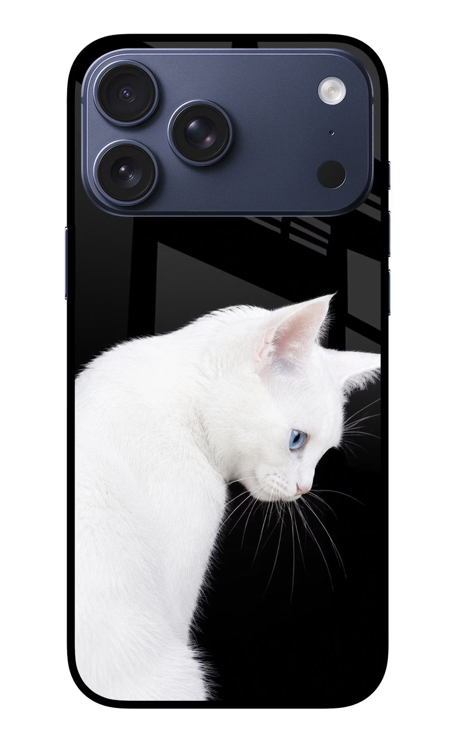 Snow Gaze iPhone 17 Pro Max Back Cover, Metal case