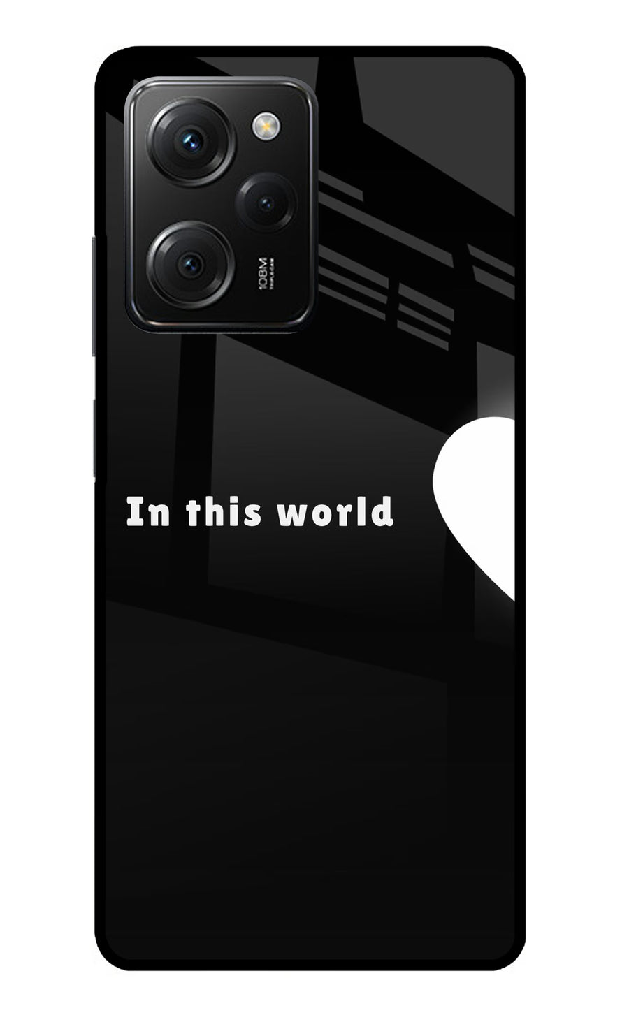 This World Poco X5 Pro 5G Back Cover, Metal case