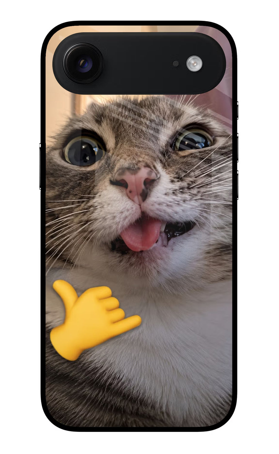 Silly Cat Call iPhone Air Back Cover, Metal case