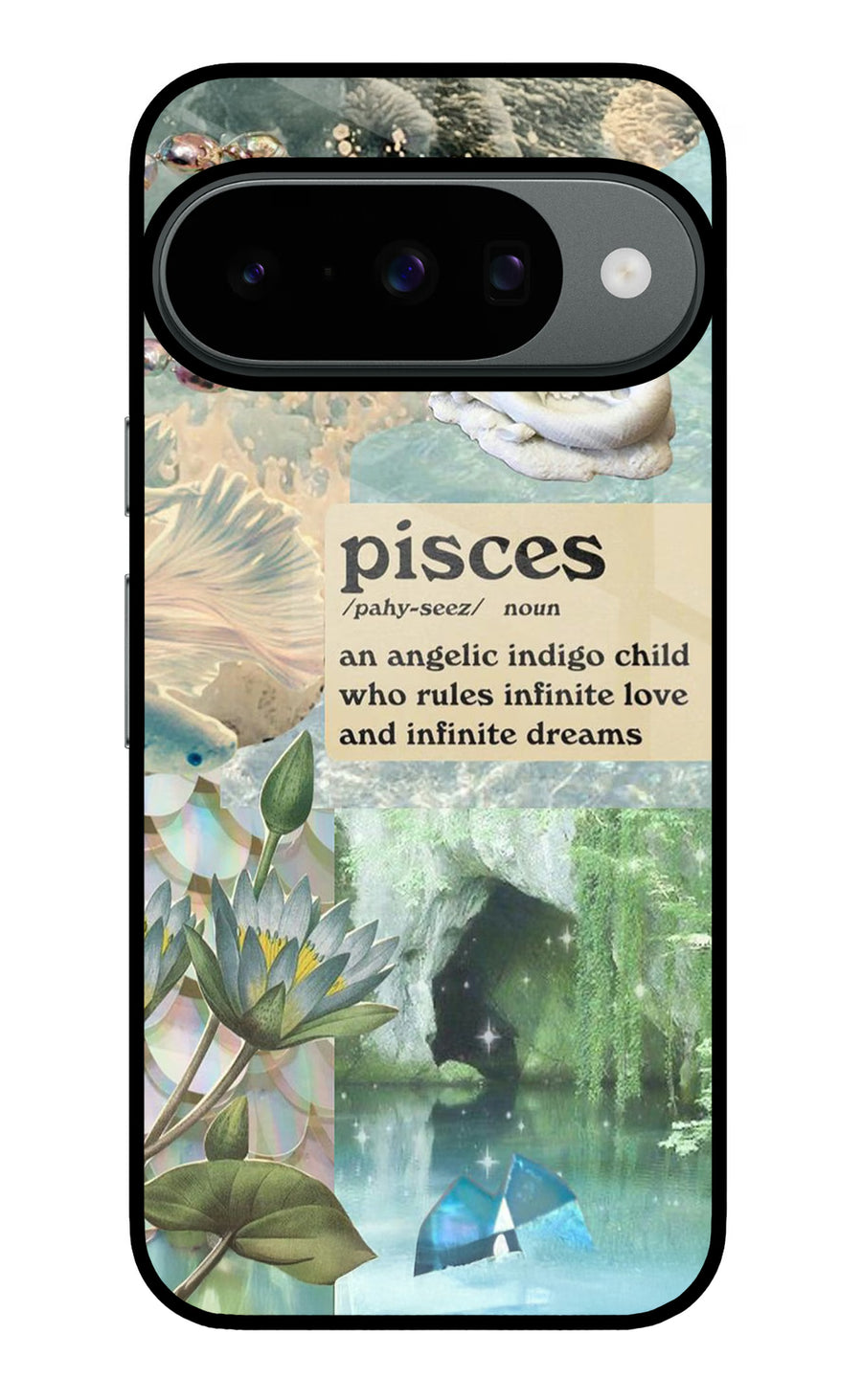 Pisces Zodiac Google Pixel 10 Back Cover, Metal case