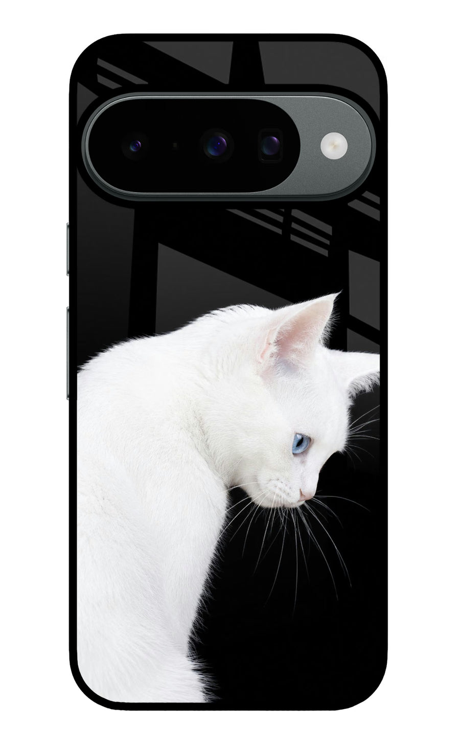 Snow Gaze Google Pixel 10 Back Cover, Metal case