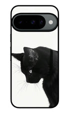 Shadow Gaze Google Pixel 10 Metal Case Back Cover by Casekaro