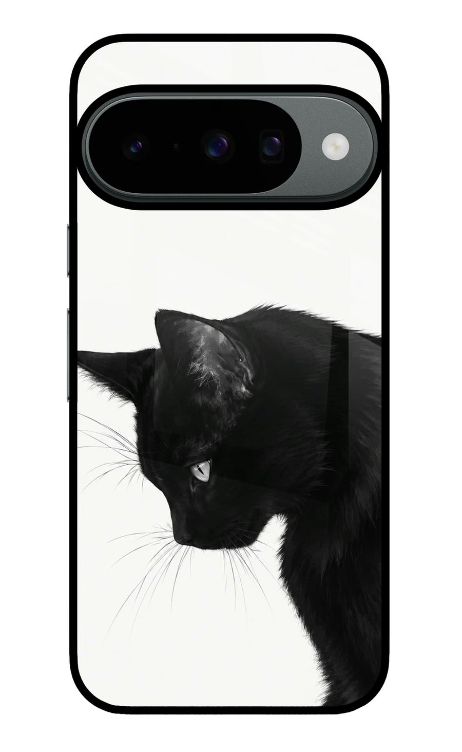 Shadow Gaze Google Pixel 10 Back Cover, Metal case