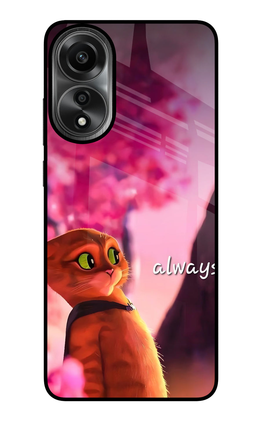 Always Cat Oppo A78 4G Back Cover, Metal case