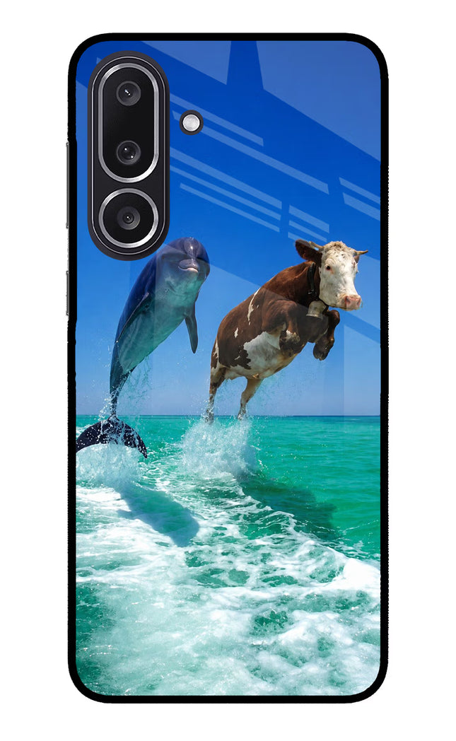Dolphin vs Cow Samsung M36 5G Metal Case Back Cover by Casekaro