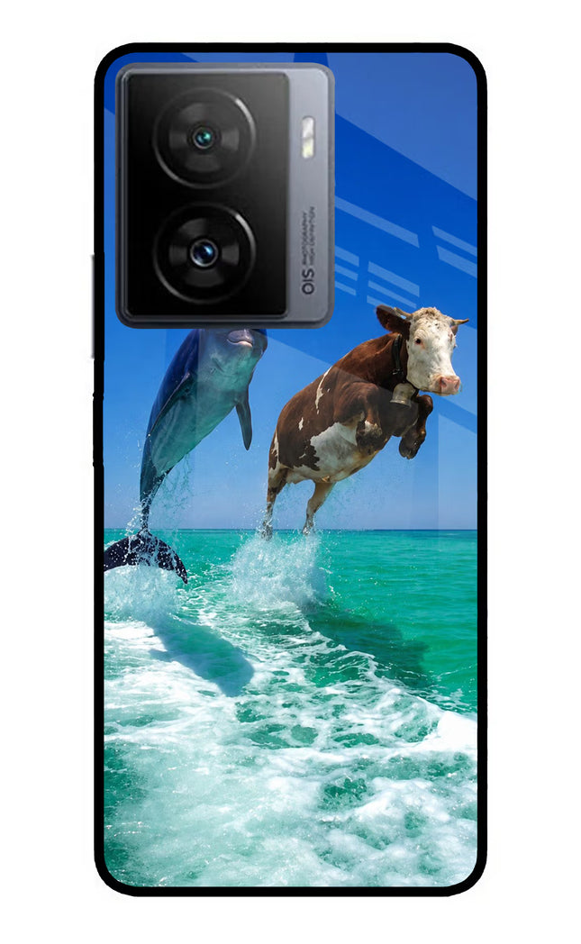 Dolphin vs Cow iQOO Z7s 5G Metal Case Back Cover by Casekaro