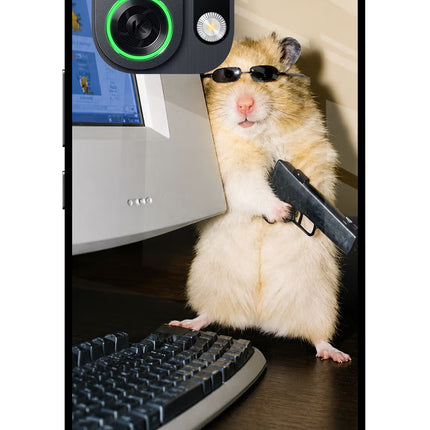Hacker Hamster OPPO K13 Turbo Pro 5G Metal Case Back Cover by Casekaro