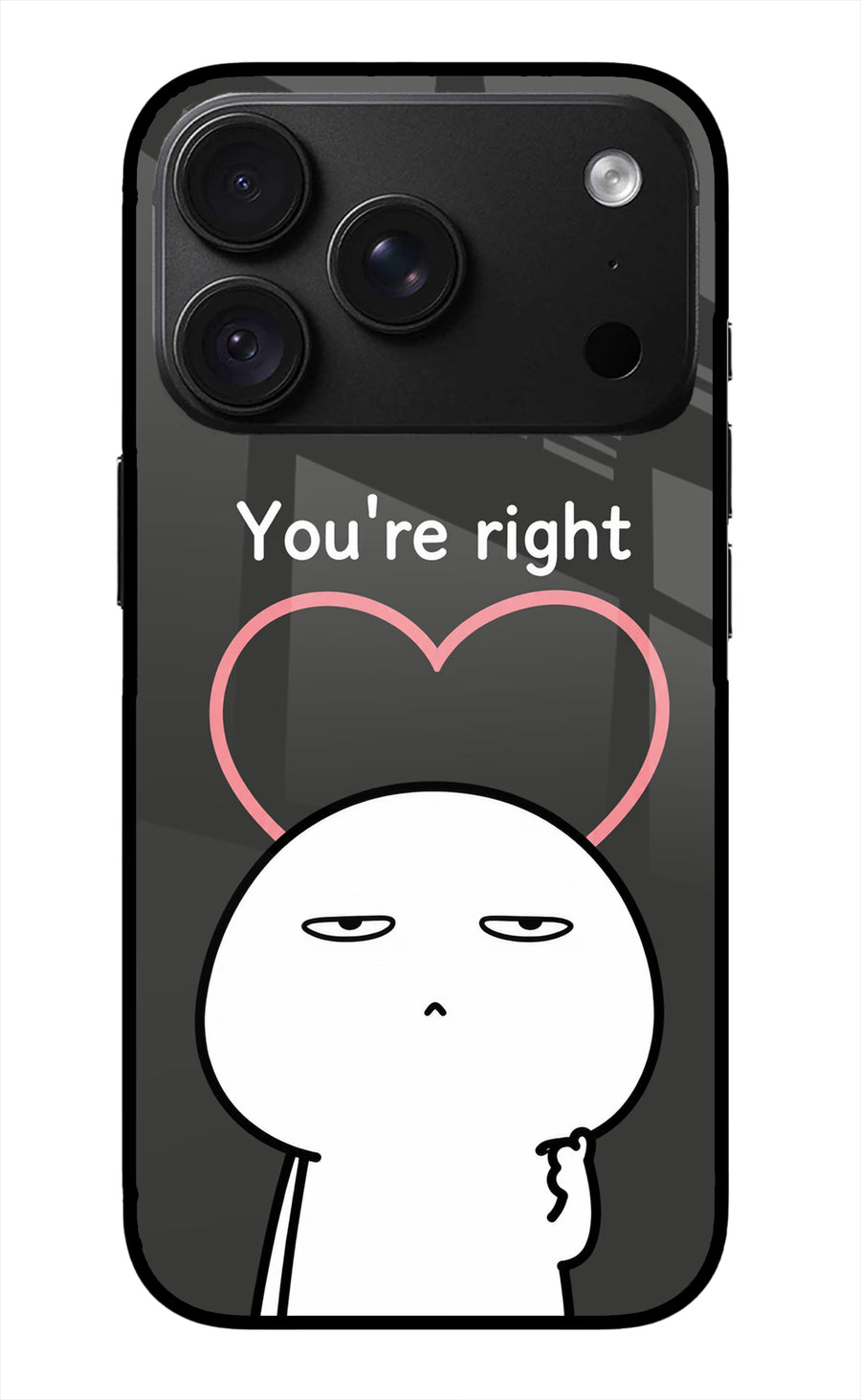 You're Right iPhone 18 Pro Back Cover, Metal case
