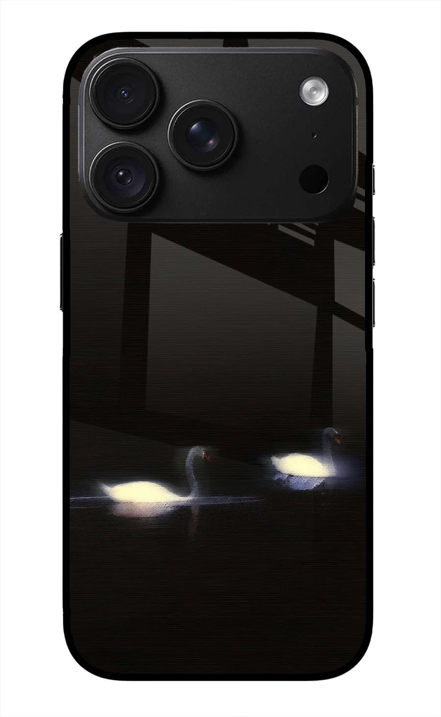 Silent Swans iPhone 18 Pro Back Cover, Metal case
