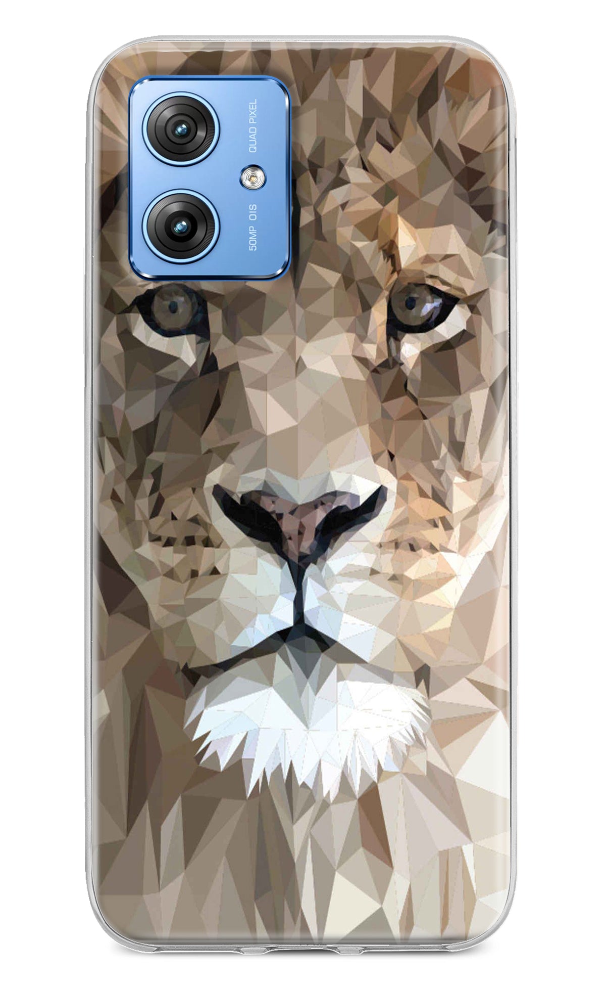 Lion Art Moto G64 5G Back Cover