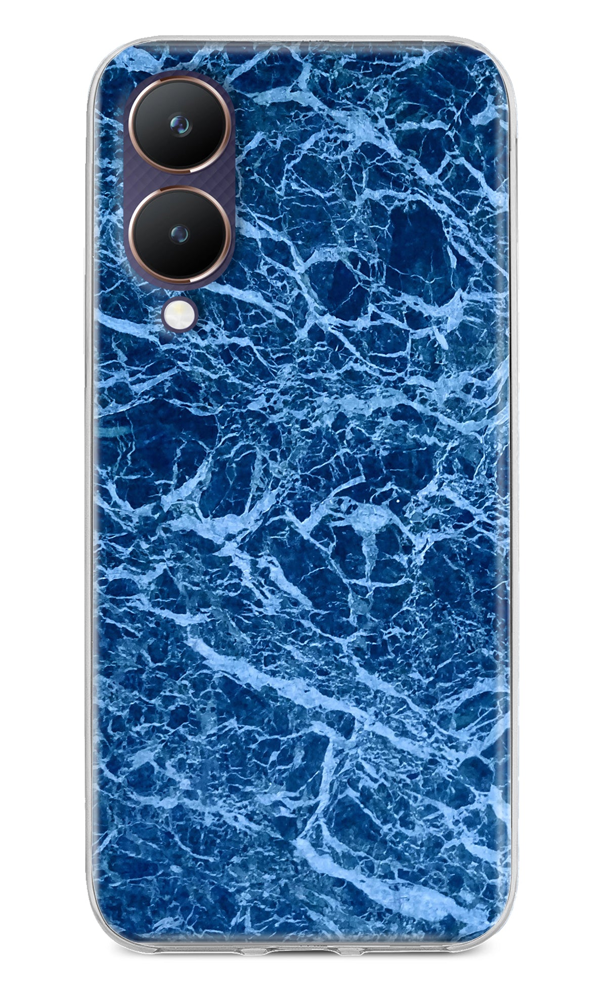 Blue Marble Vivo Y28 5G Back Cover