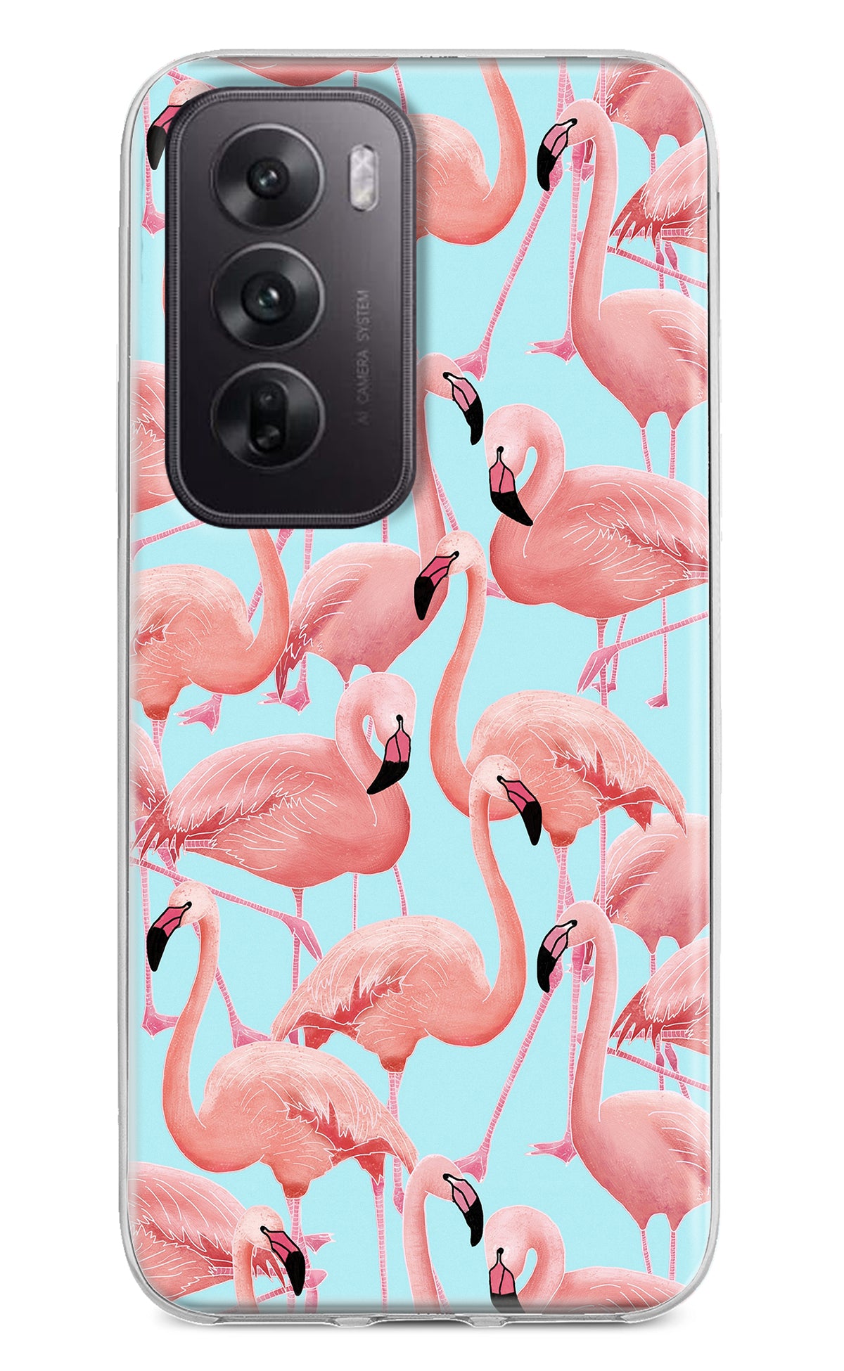 Flamboyance Oppo Reno12 5G Back Cover