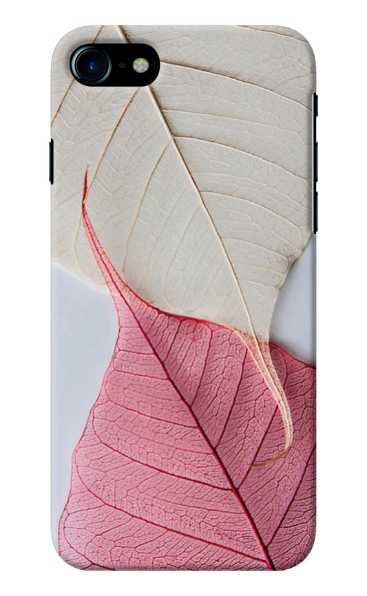 White Pink Leaf iPhone 8/SE 2020 Back Cover