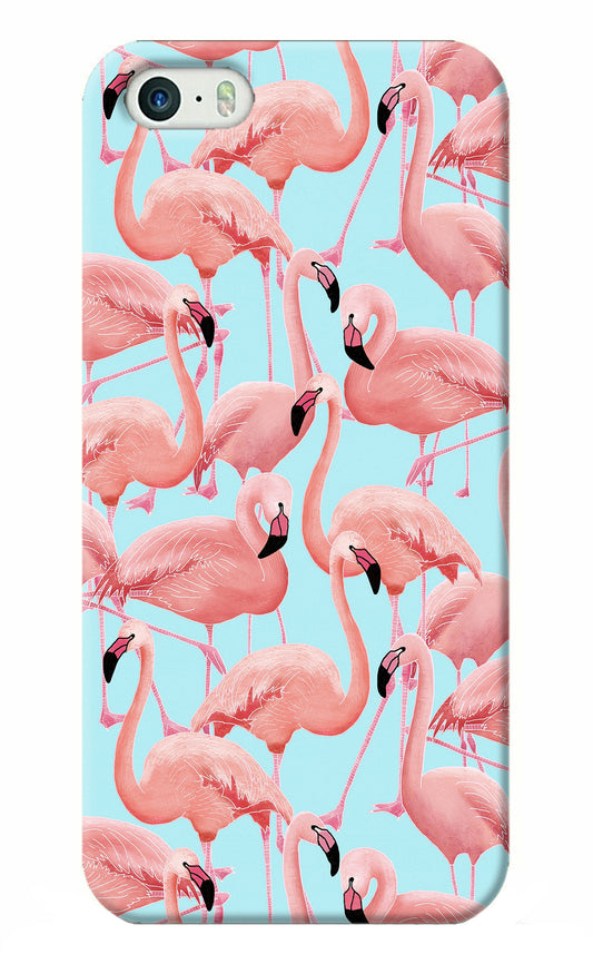 Flamboyance iPhone 5/5s Back Cover