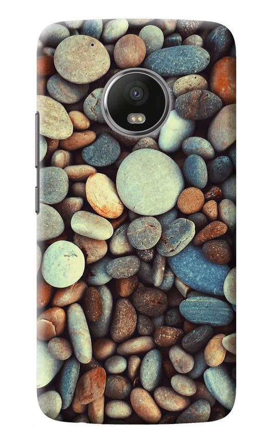 Pebble Moto G5 plus Back Cover