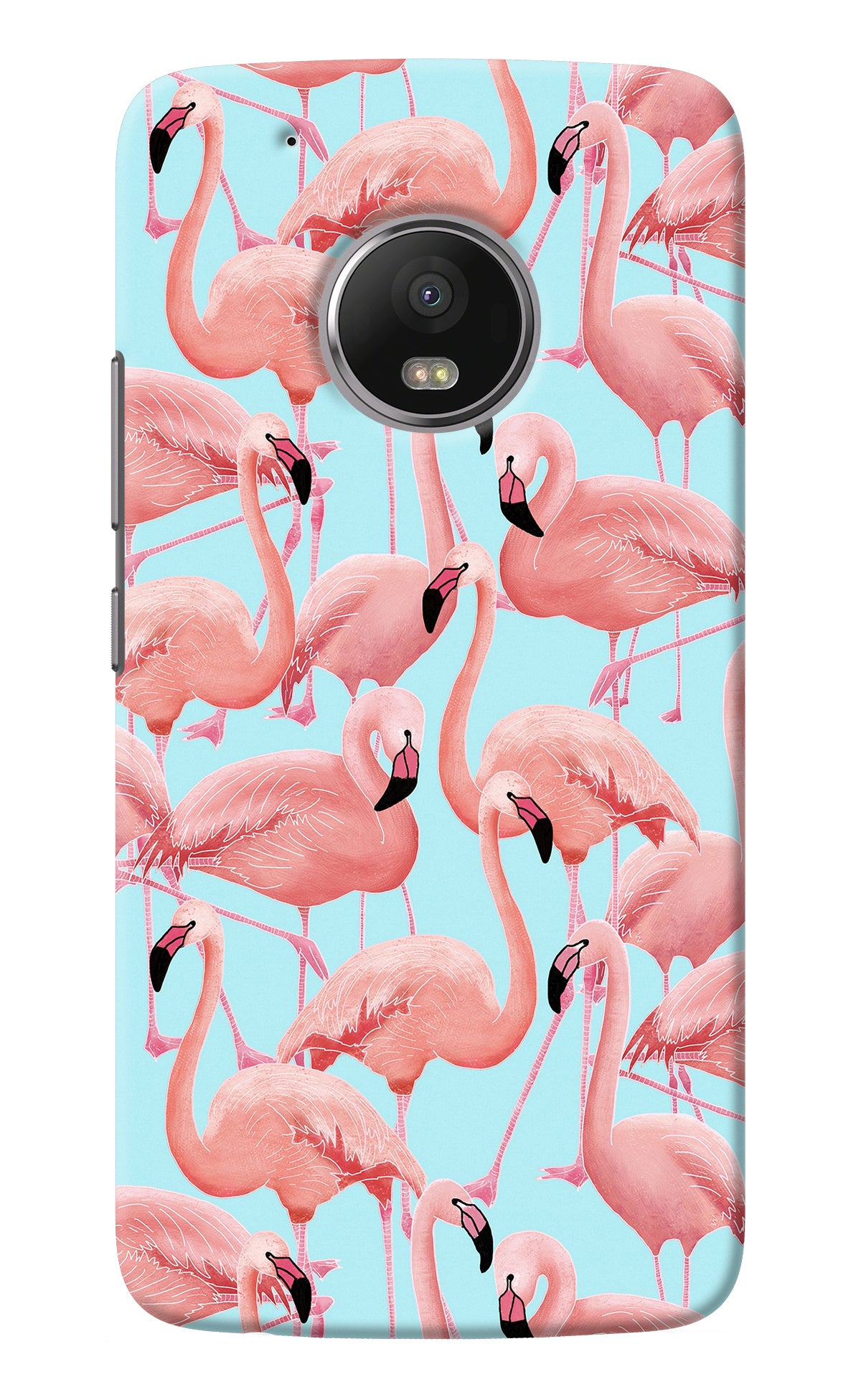 Flamboyance Moto G5 plus Back Cover