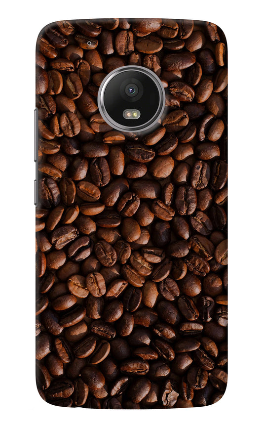 Coffee Beans Moto G5 plus Back Cover