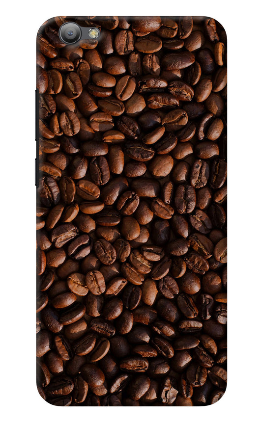 Coffee Beans Vivo V5/V5s Back Cover