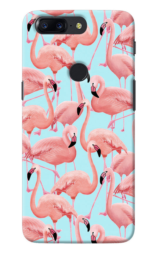 Flamboyance Oneplus 5T Back Cover