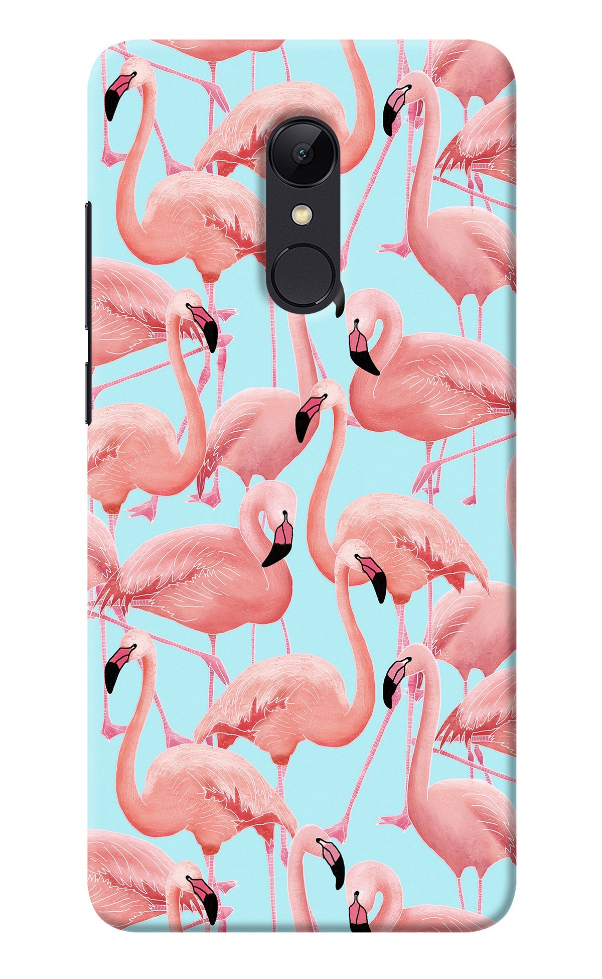 Flamboyance Redmi Note 5 Back Cover