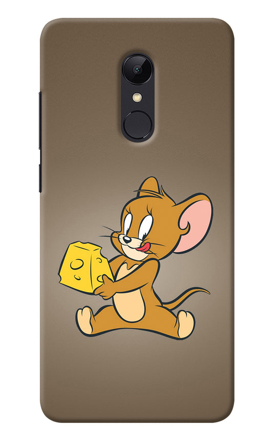 Jerry Redmi Note 5 Back Cover