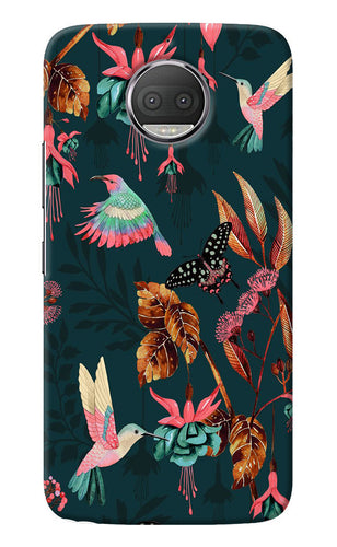 Birds Moto G5S plus Back Cover