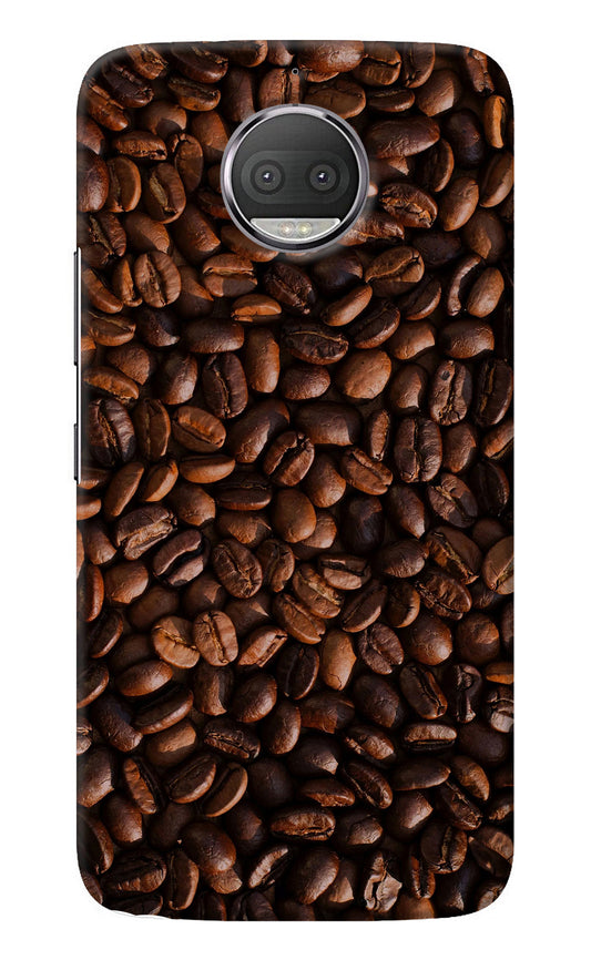 Coffee Beans Moto G5S plus Back Cover