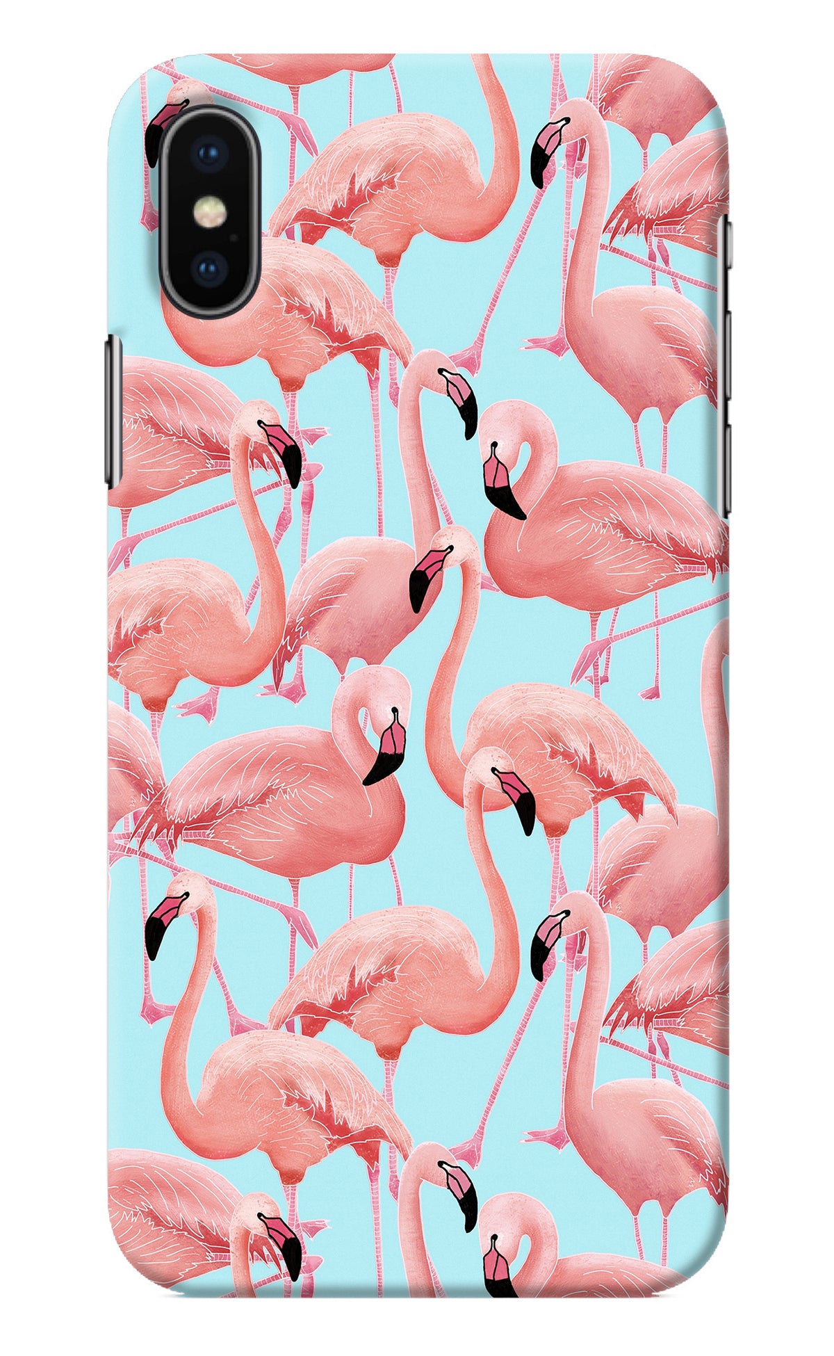 Flamboyance iPhone X Back Cover