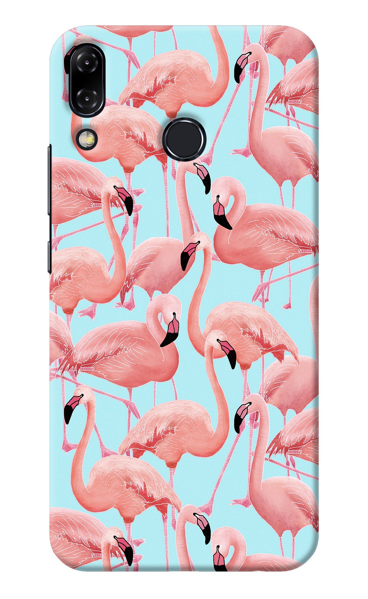 Flamboyance Asus Zenfone 5Z Back Cover