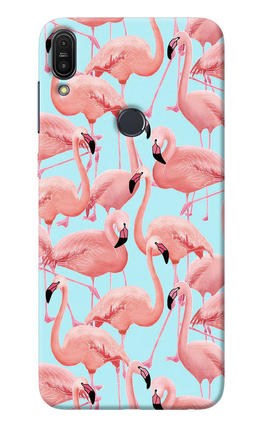 Flamboyance Asus Zenfone Max Pro M1 Back Cover