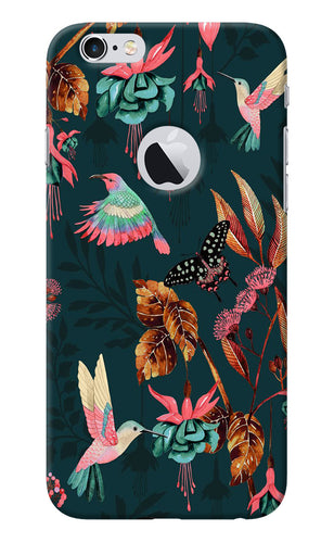 Birds iPhone 6 Logocut Back Cover