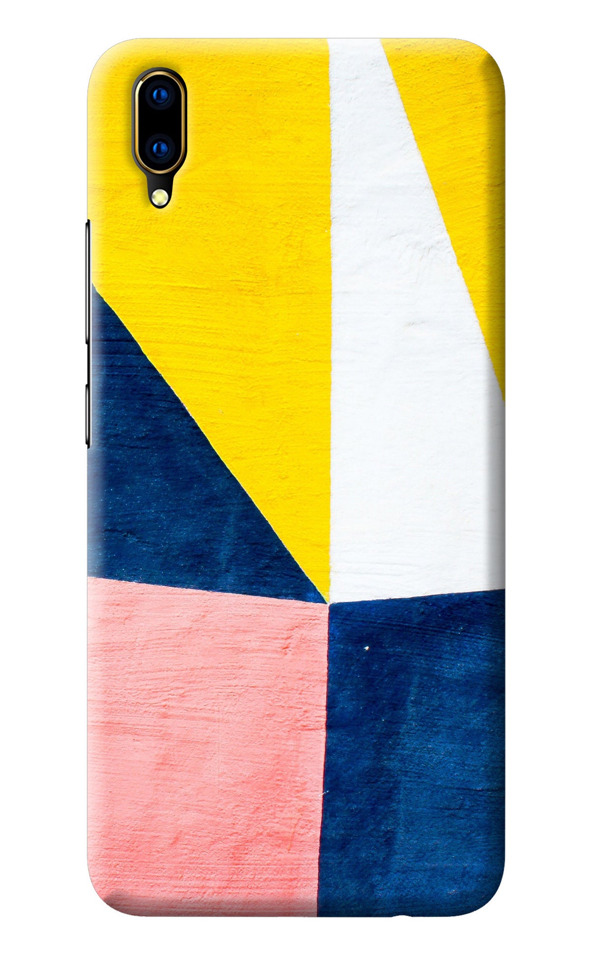 Colourful Art Vivo V11 Pro Back Cover