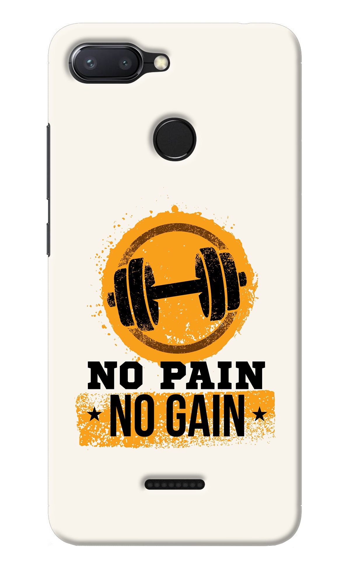 No Pain No Gain Redmi 6 Back Cover