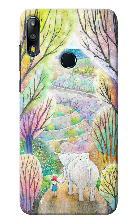 Nature Painting Asus Zenfone Max Pro M2 Back Cover